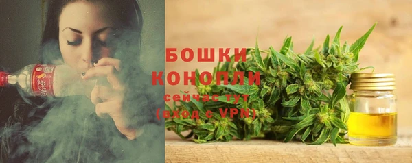 индика Беломорск