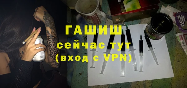индика Беломорск