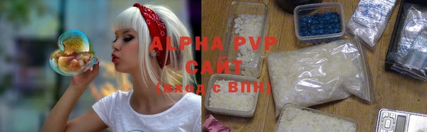 индика Беломорск