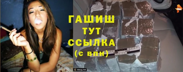 индика Беломорск