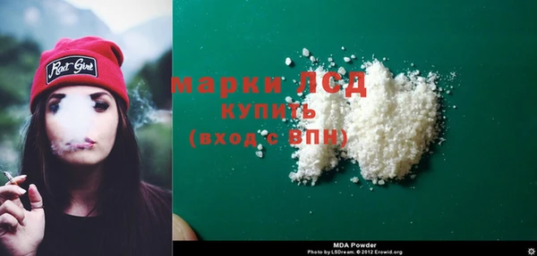 индика Беломорск