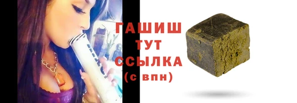 индика Беломорск