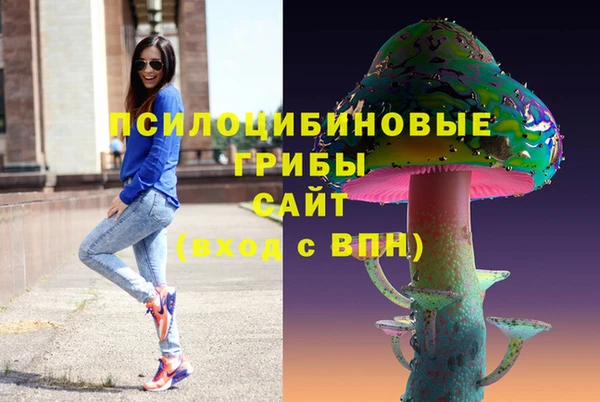 индика Беломорск