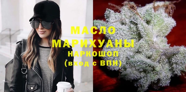 индика Беломорск