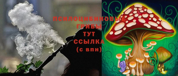 прущая мука Белокуриха