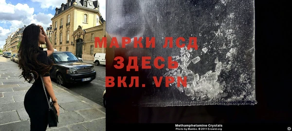 индика Беломорск