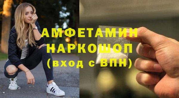 индика Беломорск