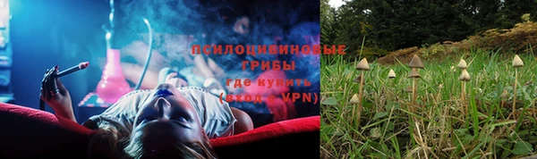 эйфоретик Белоозёрский