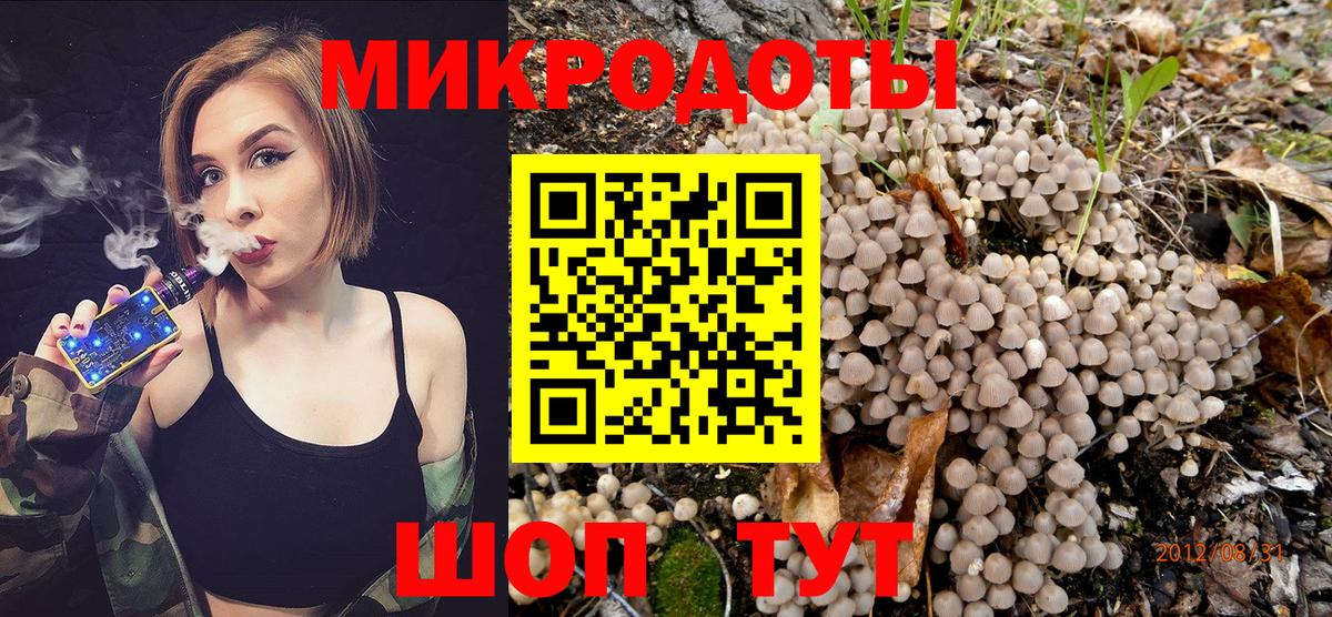 Бутурлиновка  Галлюциногенные грибы Cubensis  Вход с VPN 