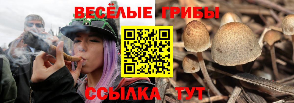 Псилоцибиновые грибы Magic Shrooms  Бутурлиновка 